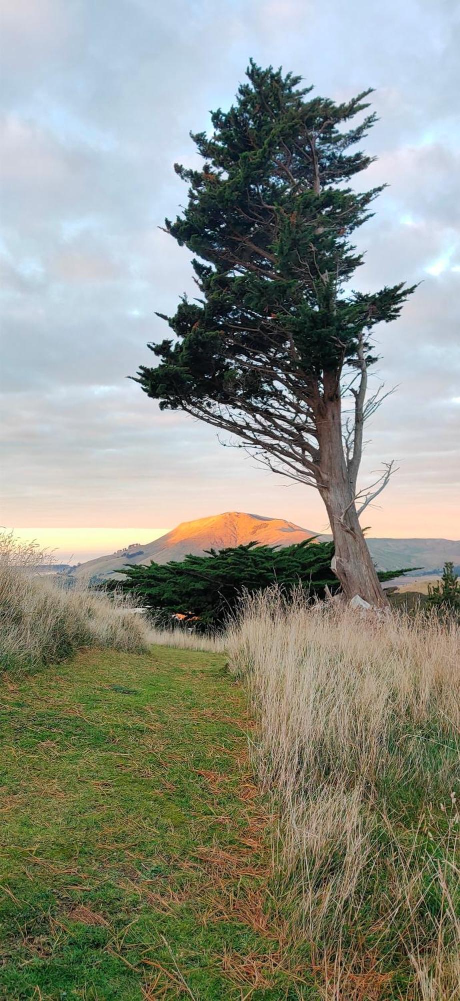 Апартаменты Pukemara Retreat Sandymount Экстерьер фото